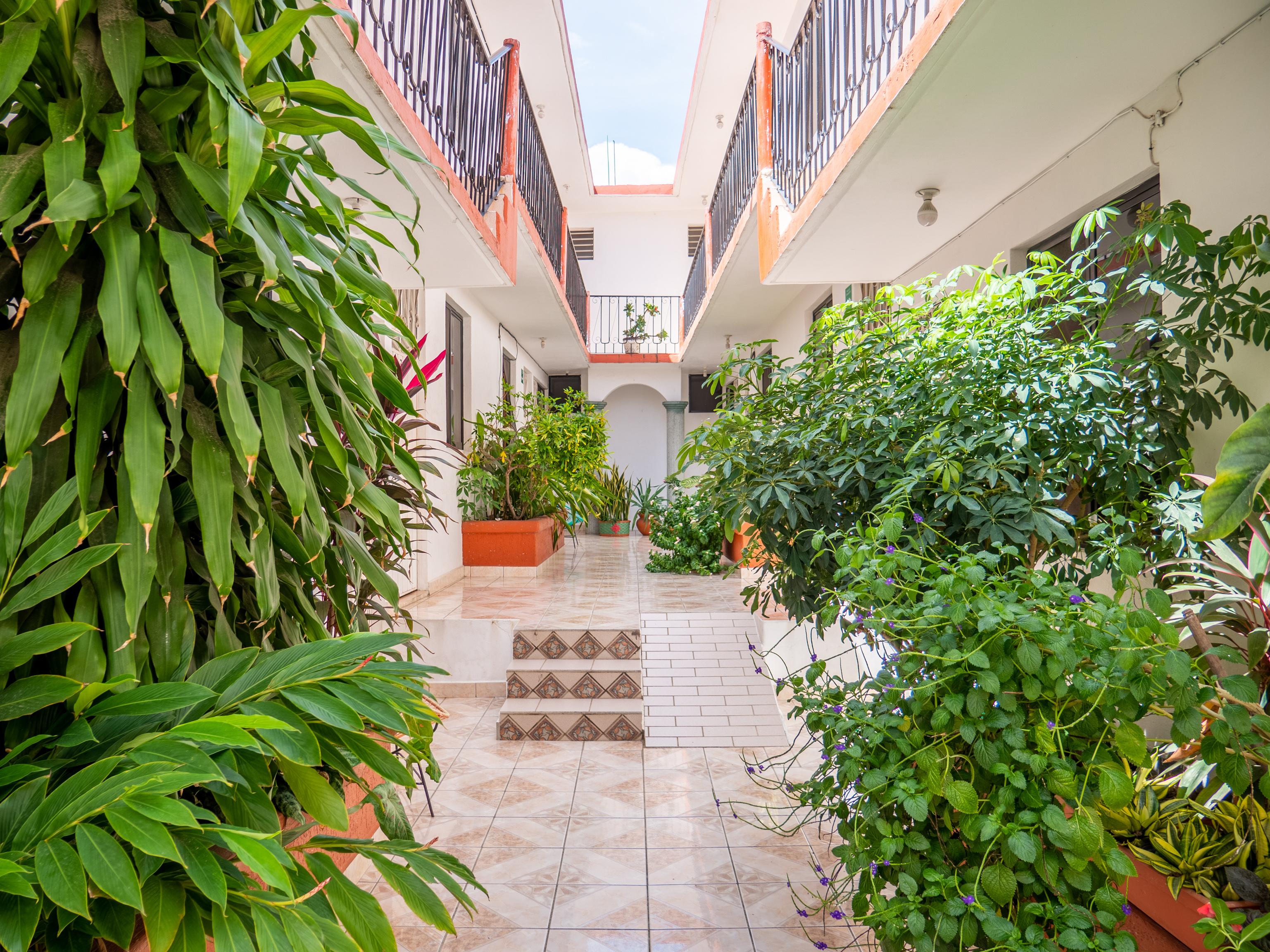 Oyo Hotel Arena Surf, Puerto Escondido Пуэрто-Эскондидо Экстерьер фото